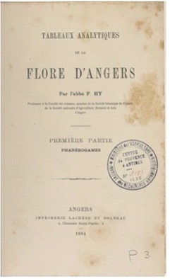Flore Angers