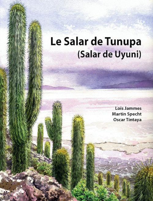 2020 le Salar de Tunupa