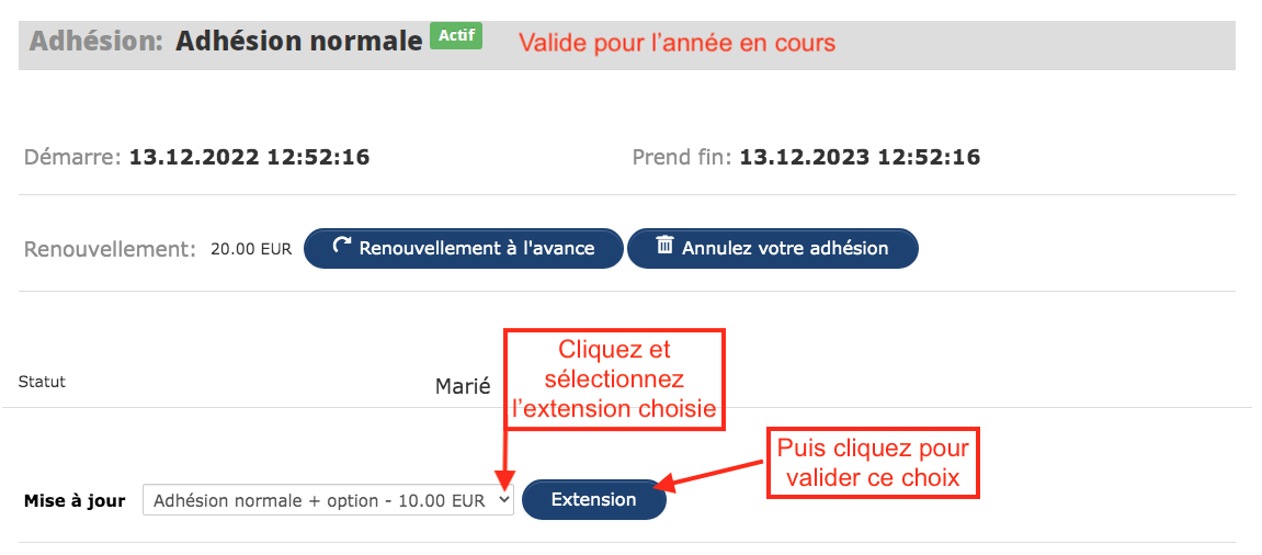 Extension